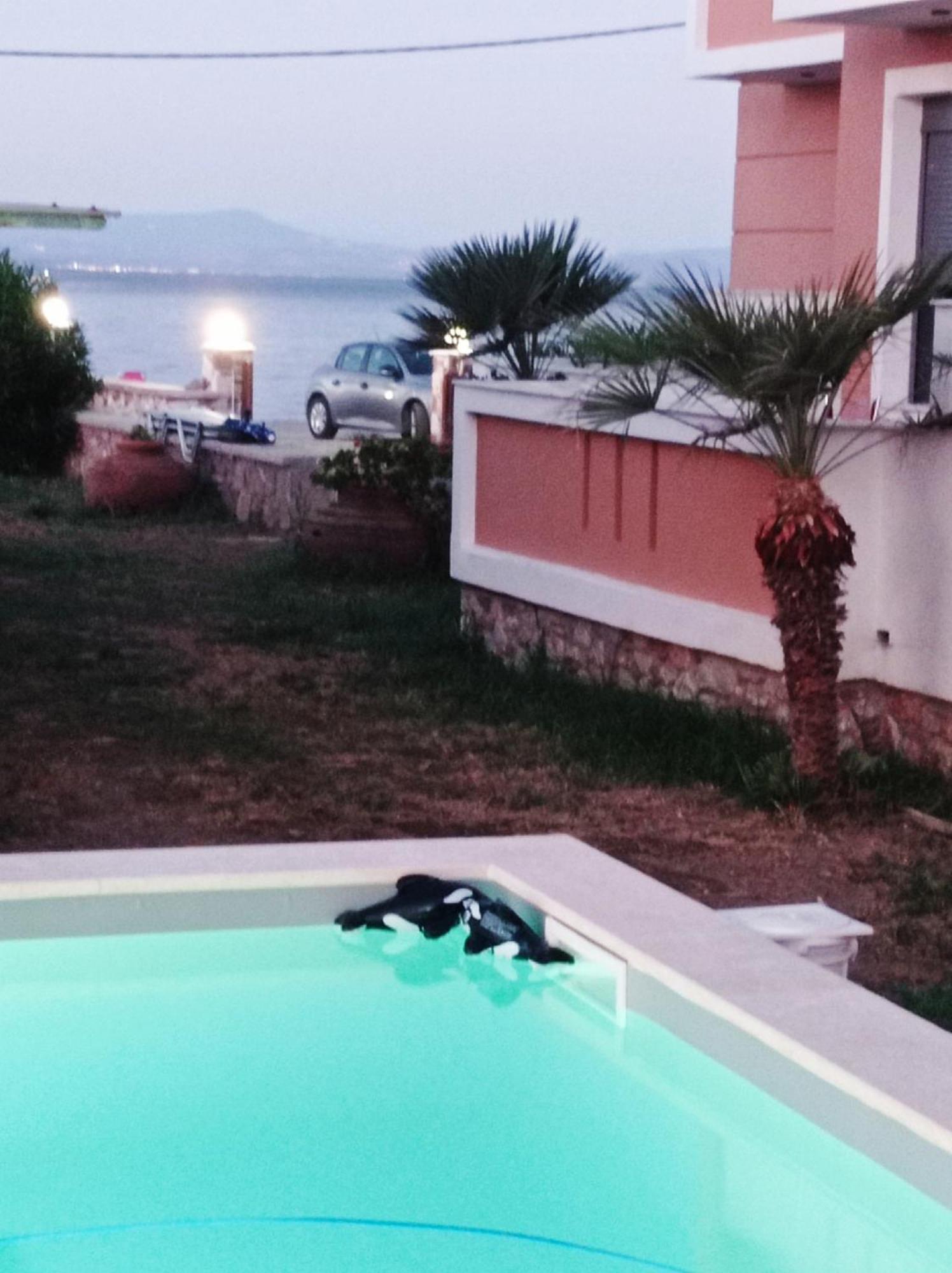 Nitelli'S Houses Skala Neon Kydonion 외부 사진
